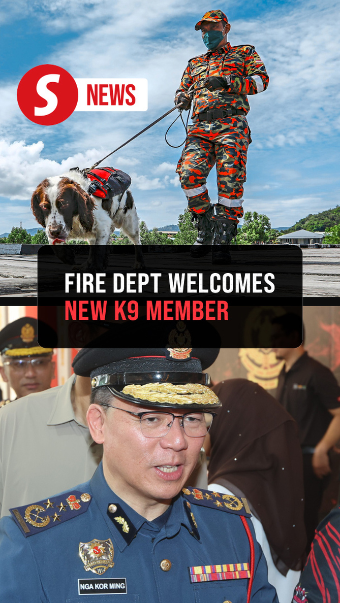 Bomba welcomes latest K9 unit member 'Brave'