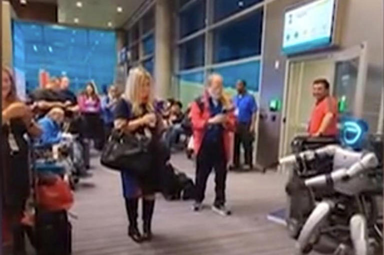 Robot passenger 'traveling for work' causes Southwest flight delay ...