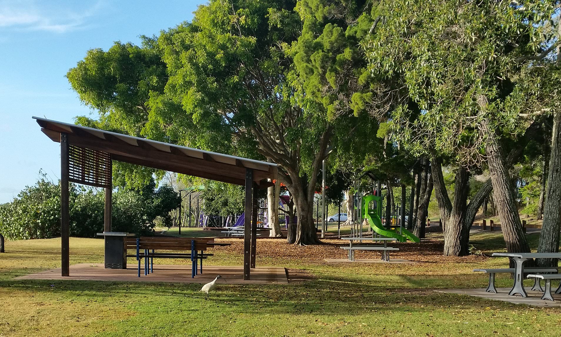Gruesome discovery in a busy beachside park stuns locals - as police launch an urgent investigation