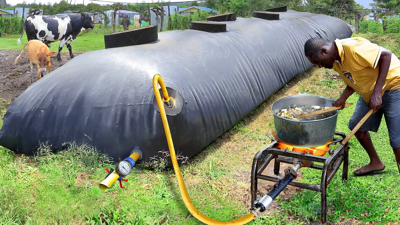 Cheapest African technique to produce tons of cooking gas in backyard