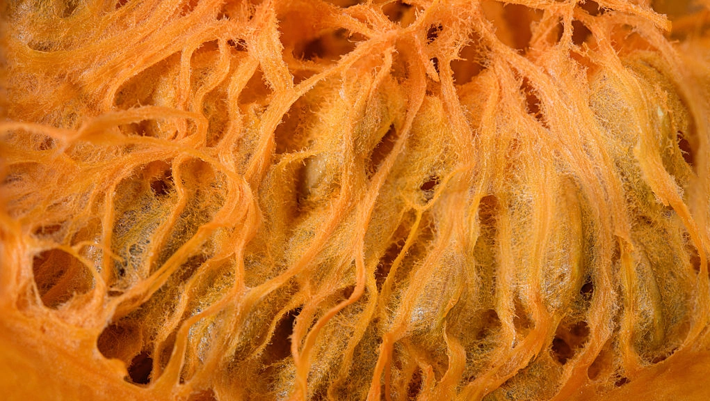Pumpkin desserts to make your fall sweeter