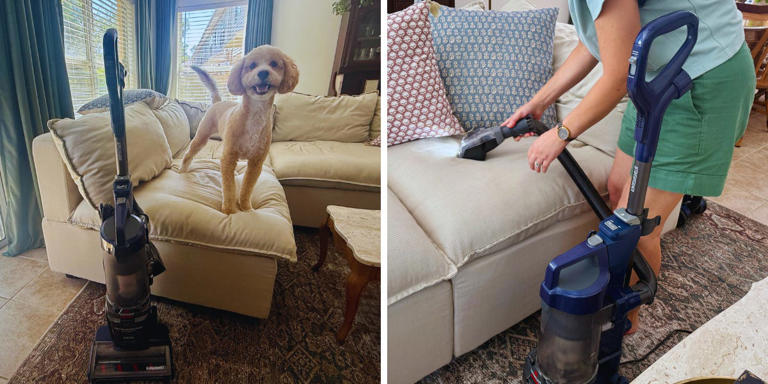 Bissell Pet Hair Eraser DualBrush review: The best vacuum we've tested ...