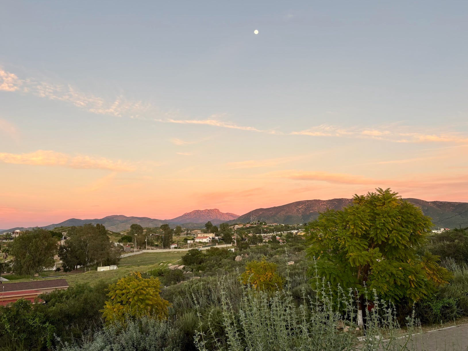 I'm a sommelier and travel advisor. There's just one wine region I'm ...