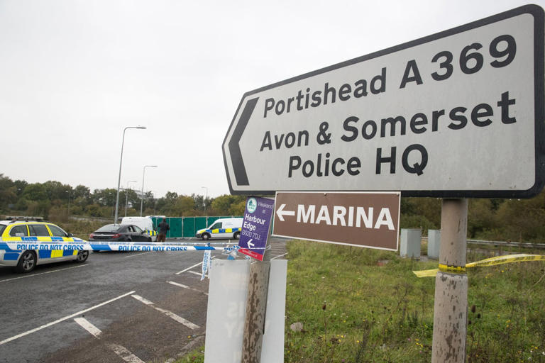 Man arrested on suspicion of murder after body found in Bristol garden