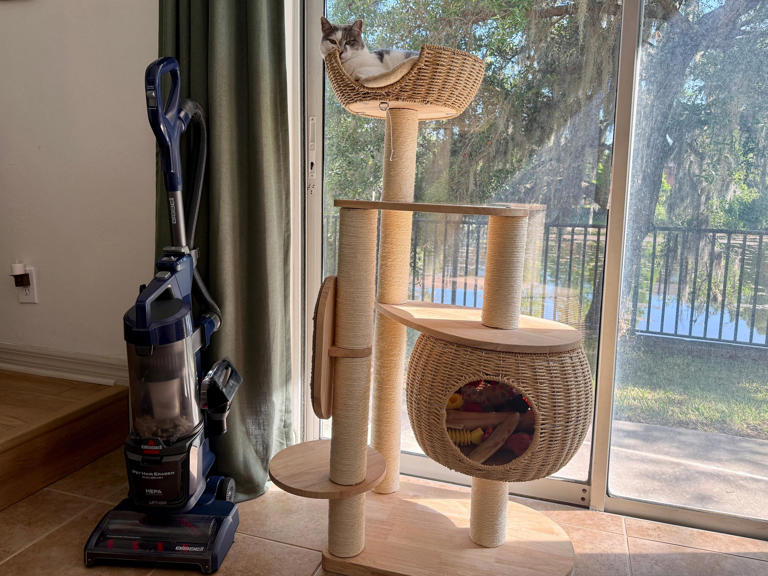 Bissell Pet Hair Eraser DualBrush review: The best vacuum we've tested ...