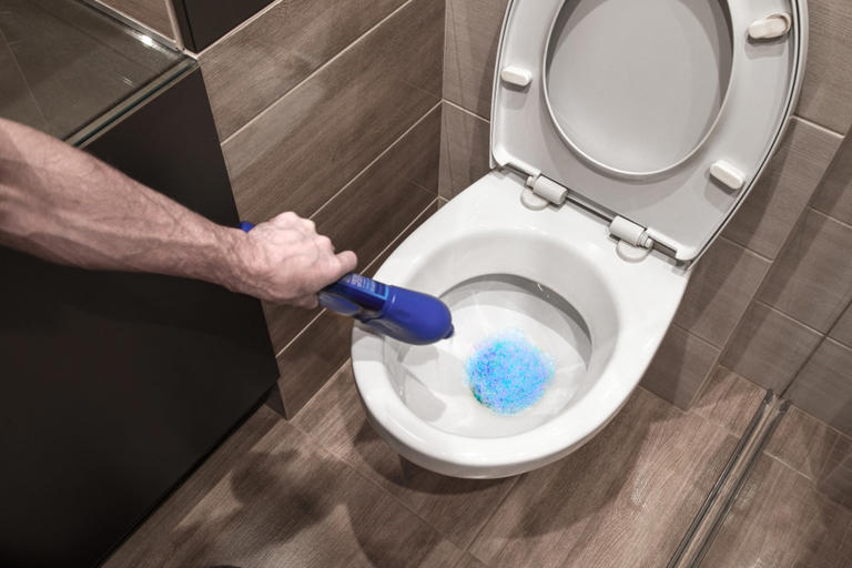 Flushing Hot Water in the Toilet: What It’s Really for and Why It’s ...