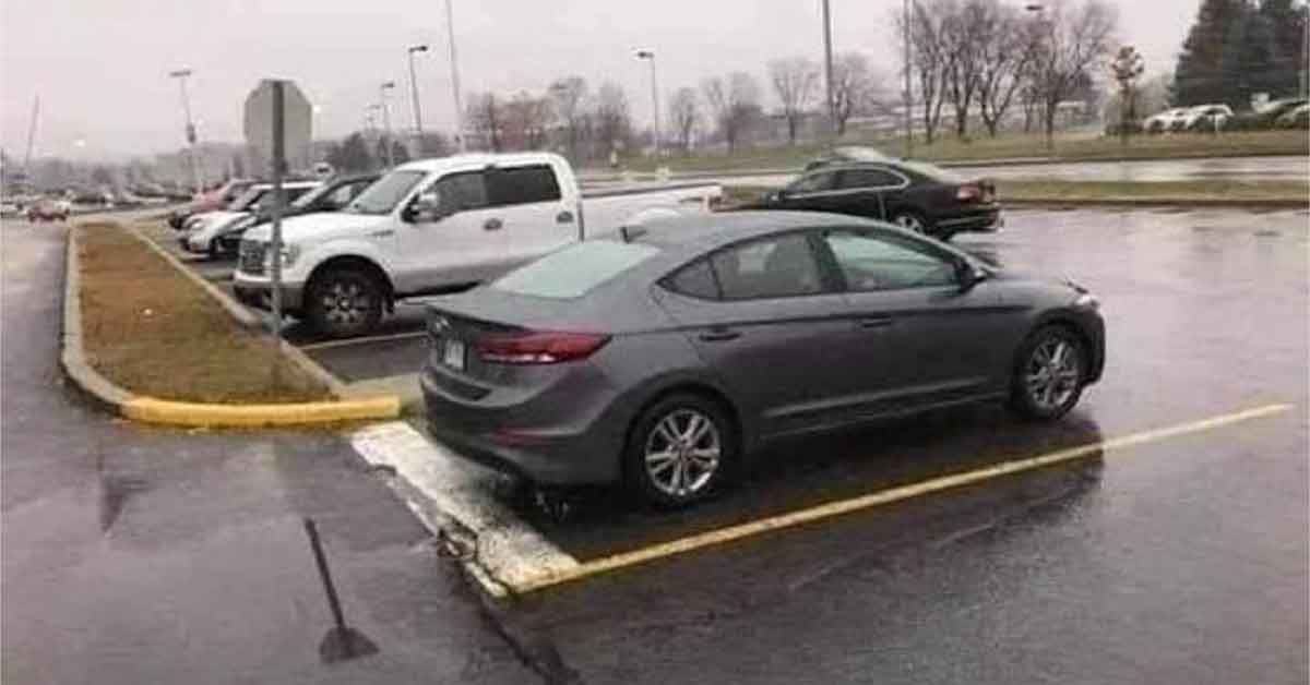 Fun images and memes to make your day more entertaining