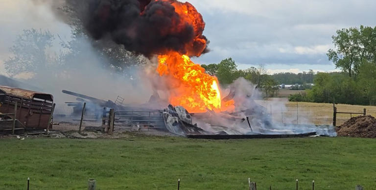Photos: Barn fire near Shelby Memory Gardens; numerous livestock dead