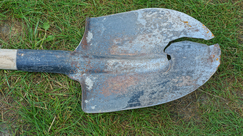Declutter your space by throwing away these 10 garden items you'll ...