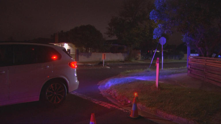 The car involved and the driver have not been found.