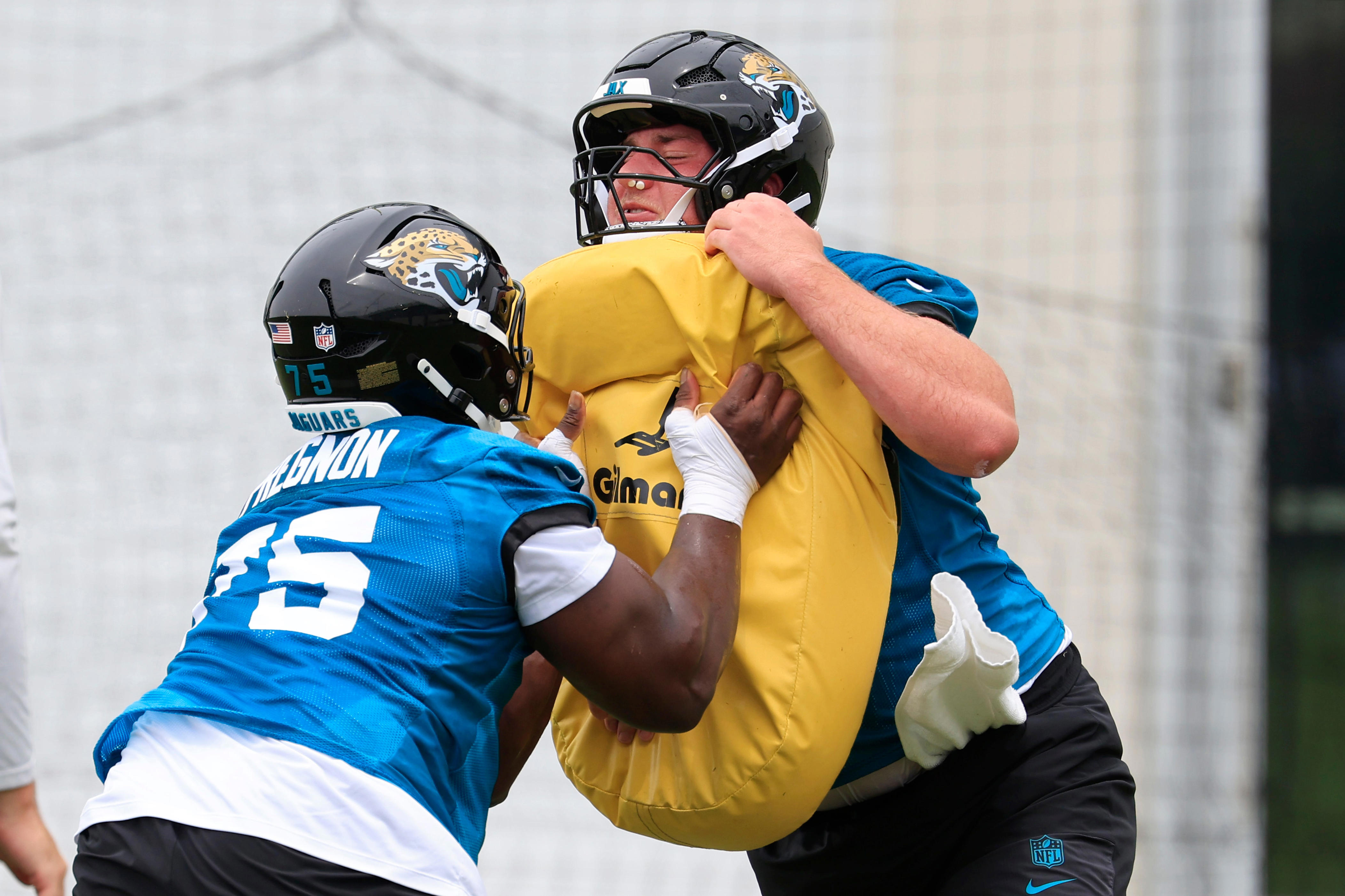 Jaguars, Panthers to hold joint practices before preseason game