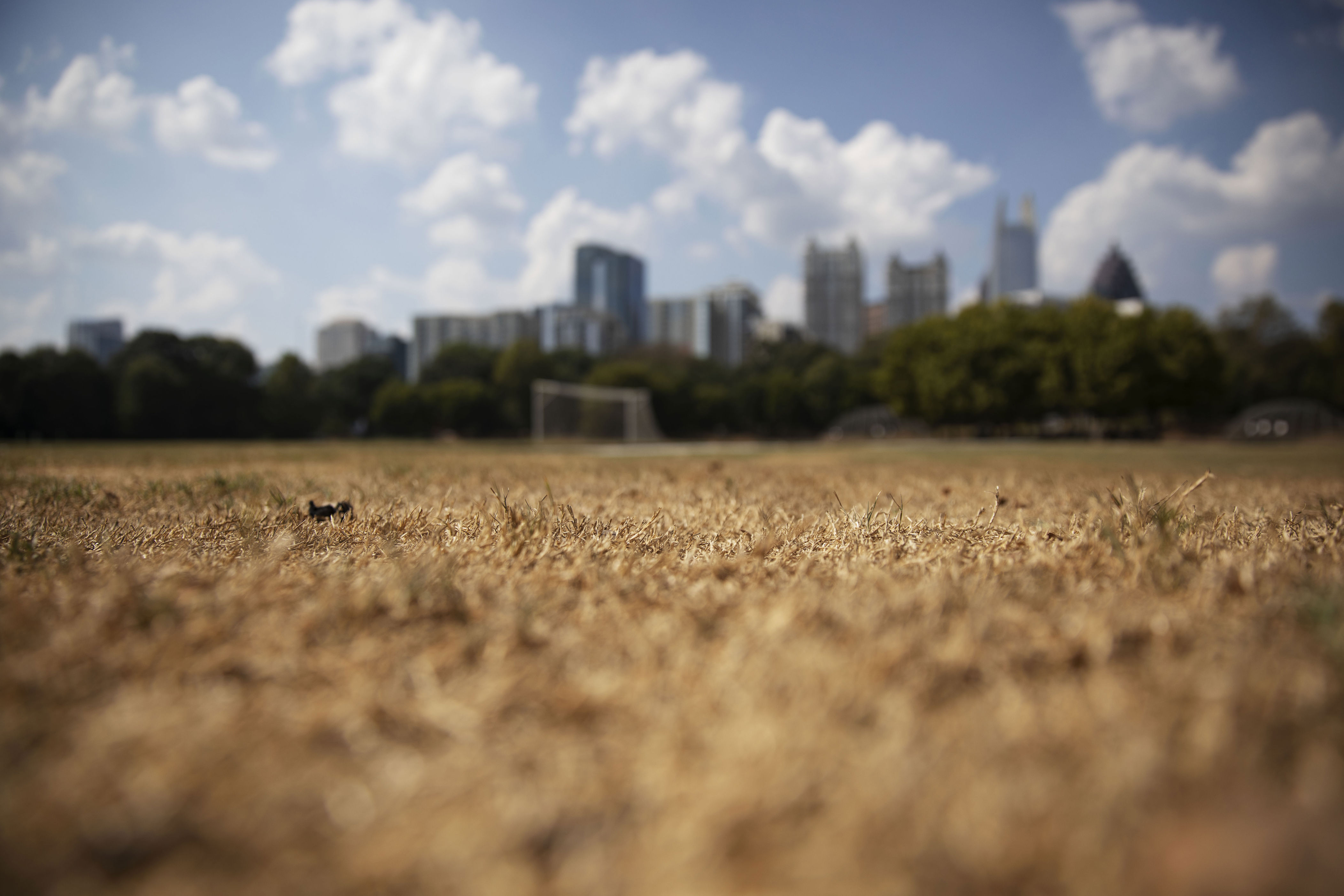 The Atlanta skyline looms over a field of dry grass during a 2019 drought. Georgia is dealing with similar conditions this year.