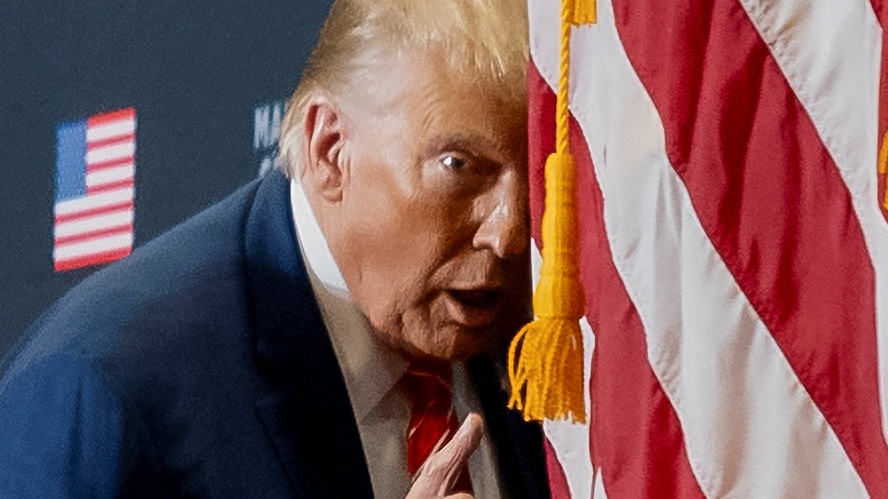 Trump sparks confusion with bizarre insect analogy