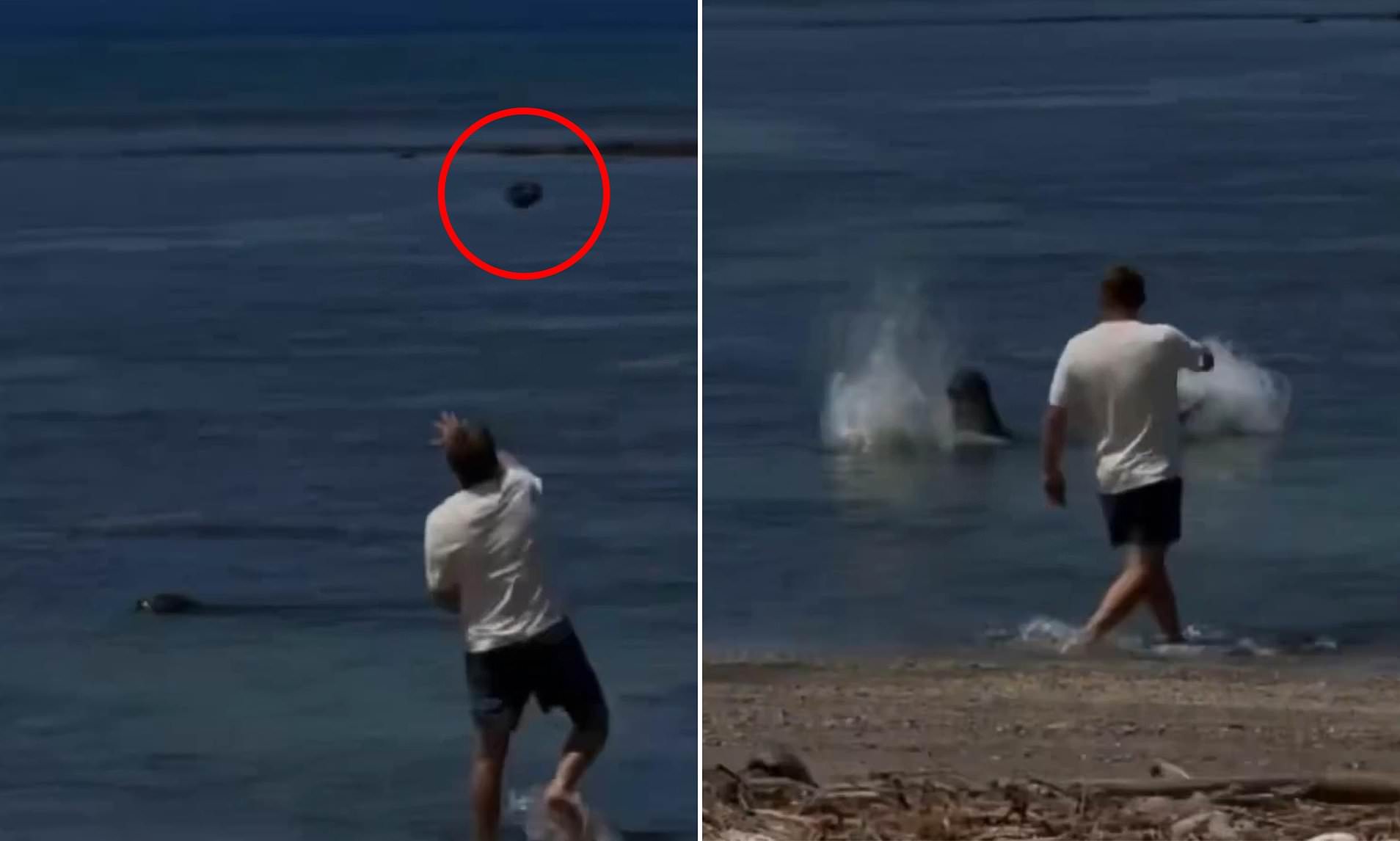 Entitled Hawaii tourist boasts 'I don't care I'm rich' after ...
