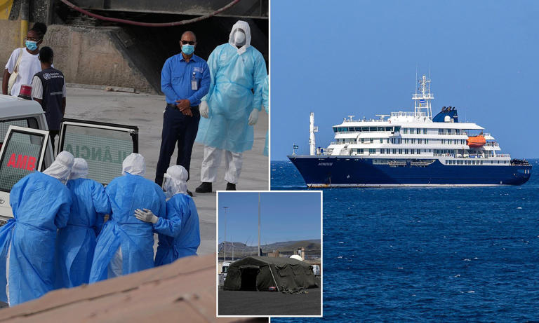 How to stay safe while on a cruise ship as rat virus that killed three ...