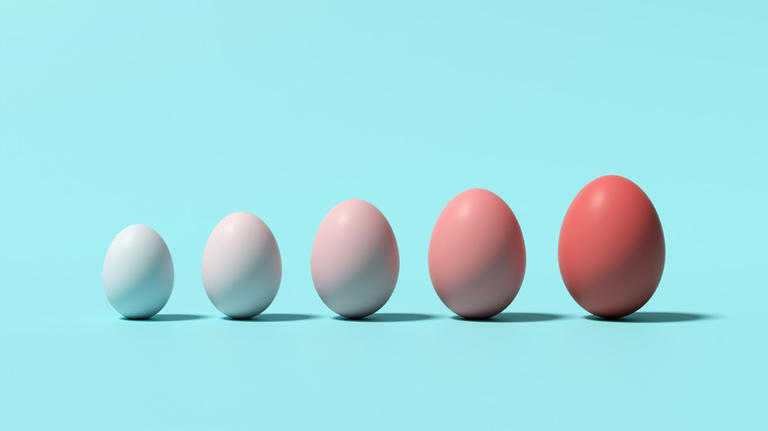 The difference between brown and white eggs can easily be explained by ...