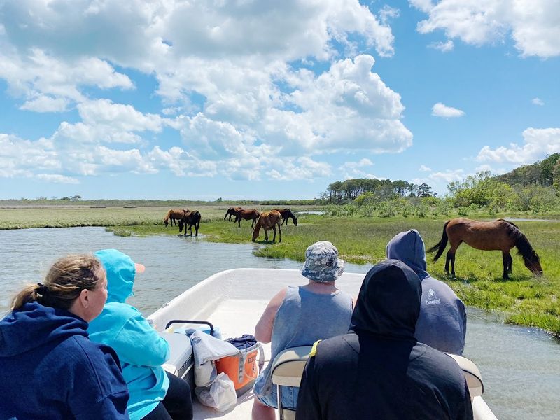 This unique Virginia boat ride feels like a Wild West adventure on the ...