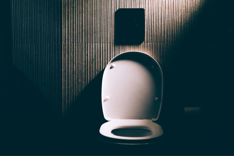 This simple change can dramatically improve your poops, says Harvard doctor