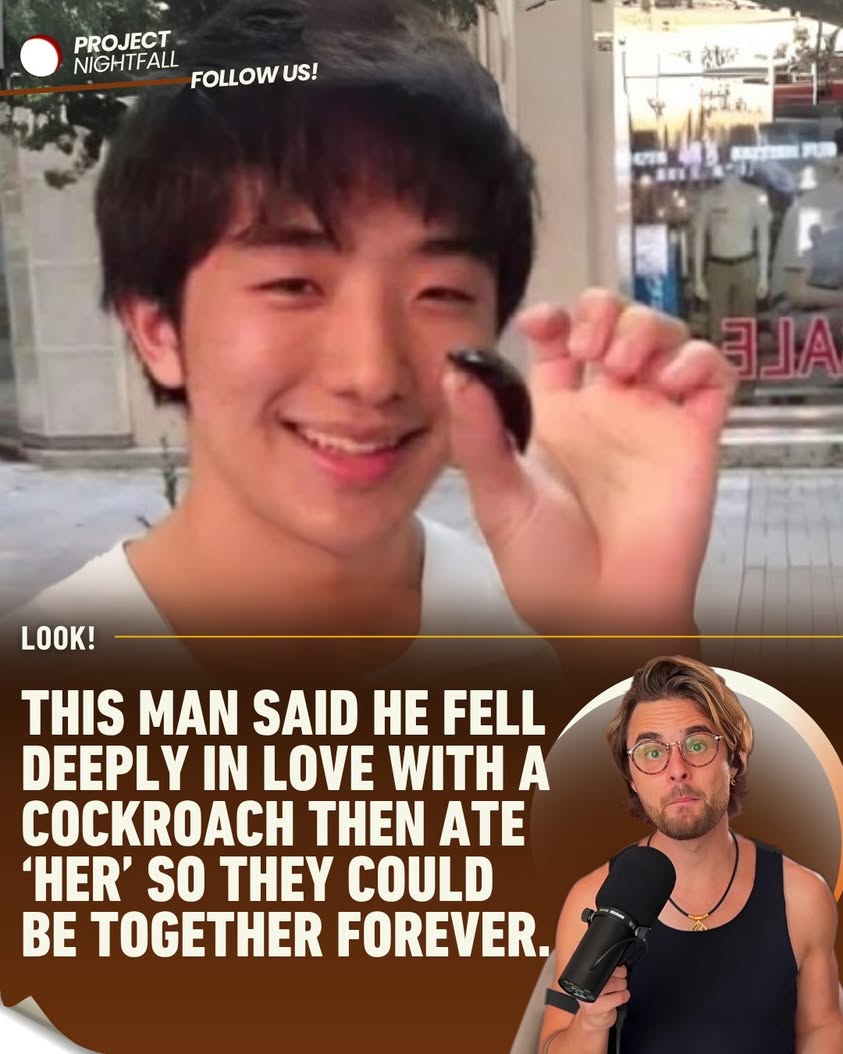 Man eats his dead cockroach lover: 'She lives on inside me'
