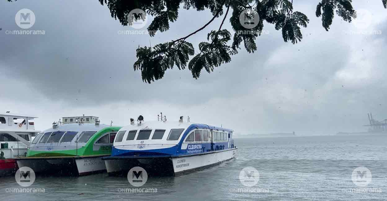 IMD issues yellow alert in 7 districts, thunderstorms likely in north ...
