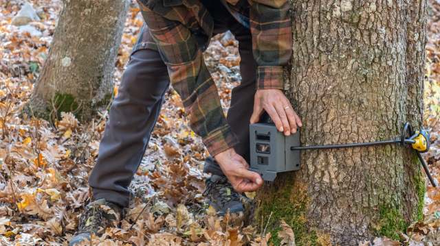 Device 'listens' for gunshots, chainsaws to identify illicit activity ...