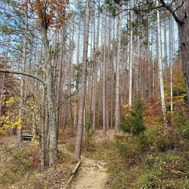 Ride through fast trails and rolling hills at this Indiana mountain ...