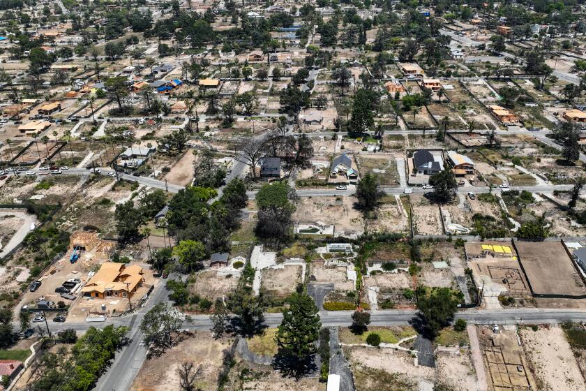 Trees that survived L.A.'s wildfires are dying at alarming rate. Can ...