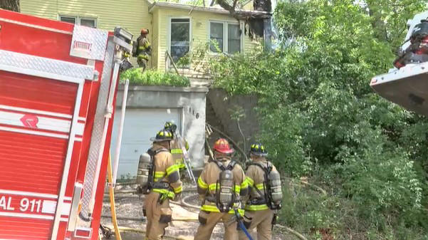 Two dogs rescued in house fire on Saturday