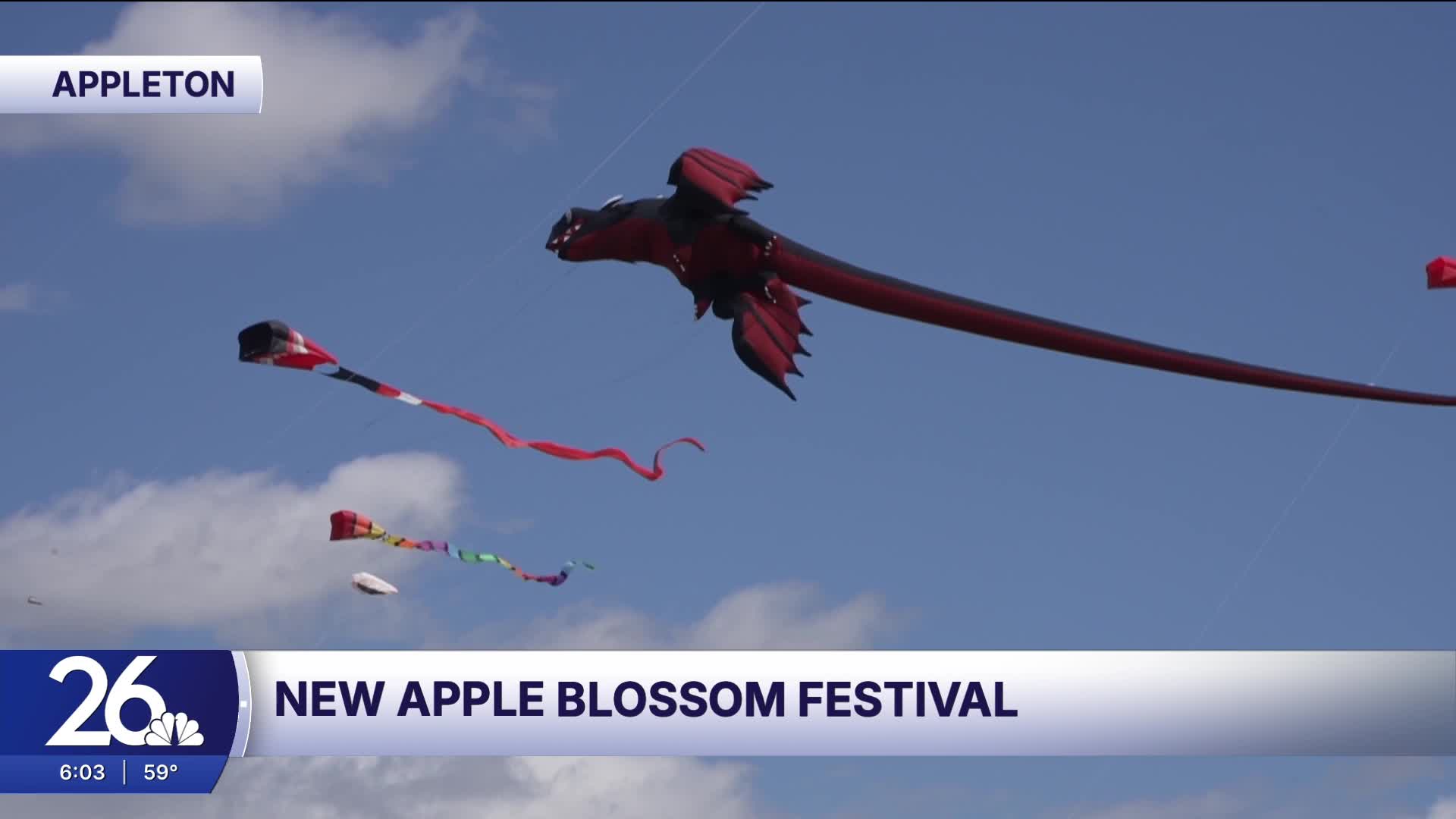 Inaugural Apple Blossoms for Appleton event draws people from across ...