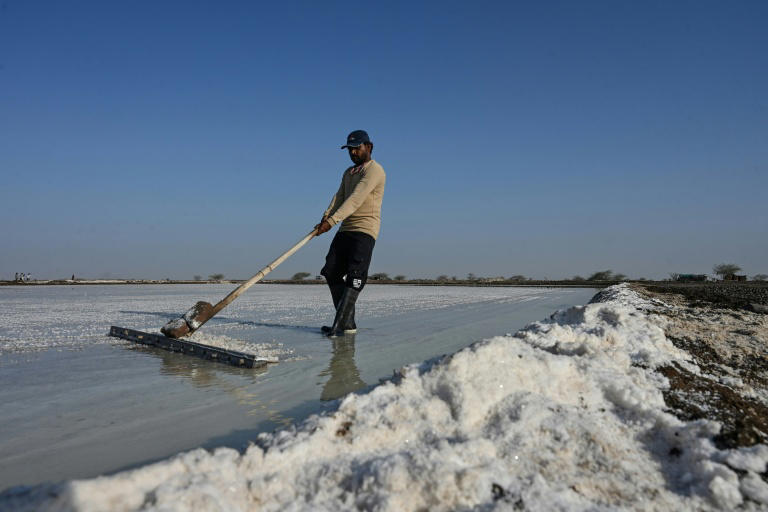 No trees, no fans: surviving extreme heat in India's salt pans