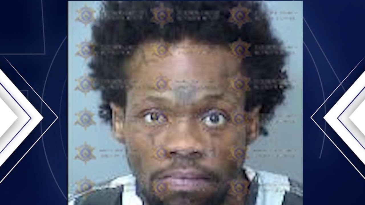 Man arrested after human remains found in Phoenix home