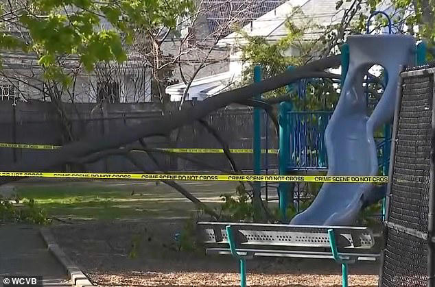 Avid skier, 9, killed in freak accident on elementary school playground