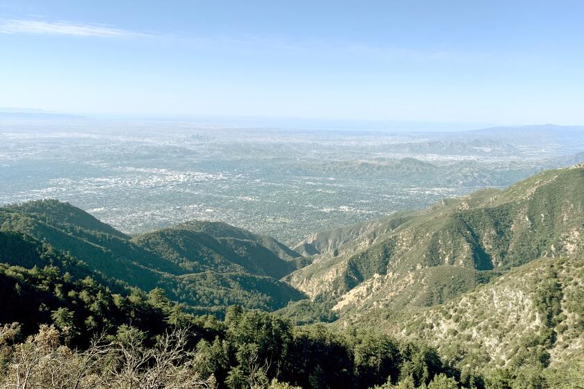 Hiker dies on Mt. Wilson trail in second fatality this week