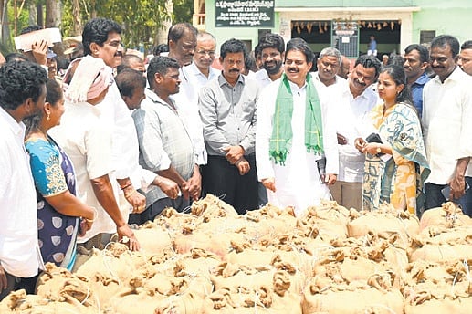 Centre clears boiled rice procurement for Andhra Pradesh