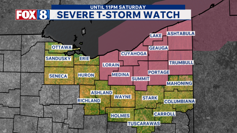 Severe thunderstorm watches, warnings in effect for several counties
