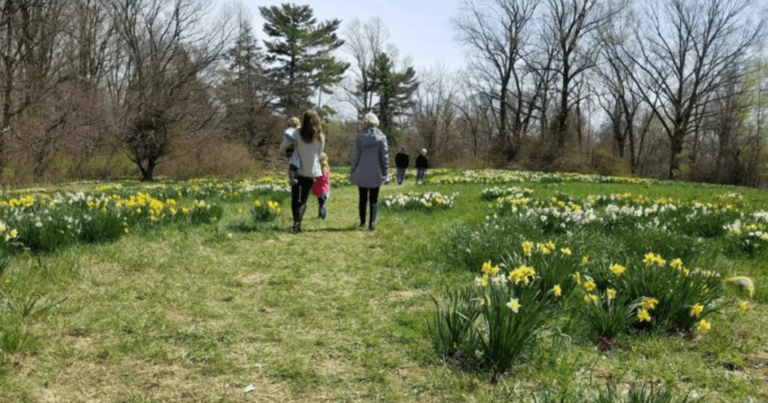 7 stunning Indiana stops for a spring flower road trip