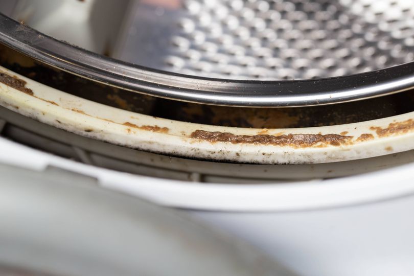 Kill mould on washing machine seals with 57p item that's more effective ...
