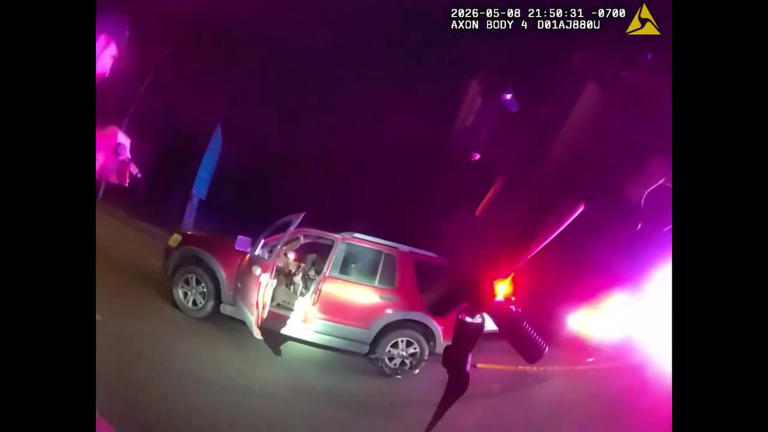 Video: Suspected DUI driver goes 90mph on I-5 with 5 dogs in the car ...