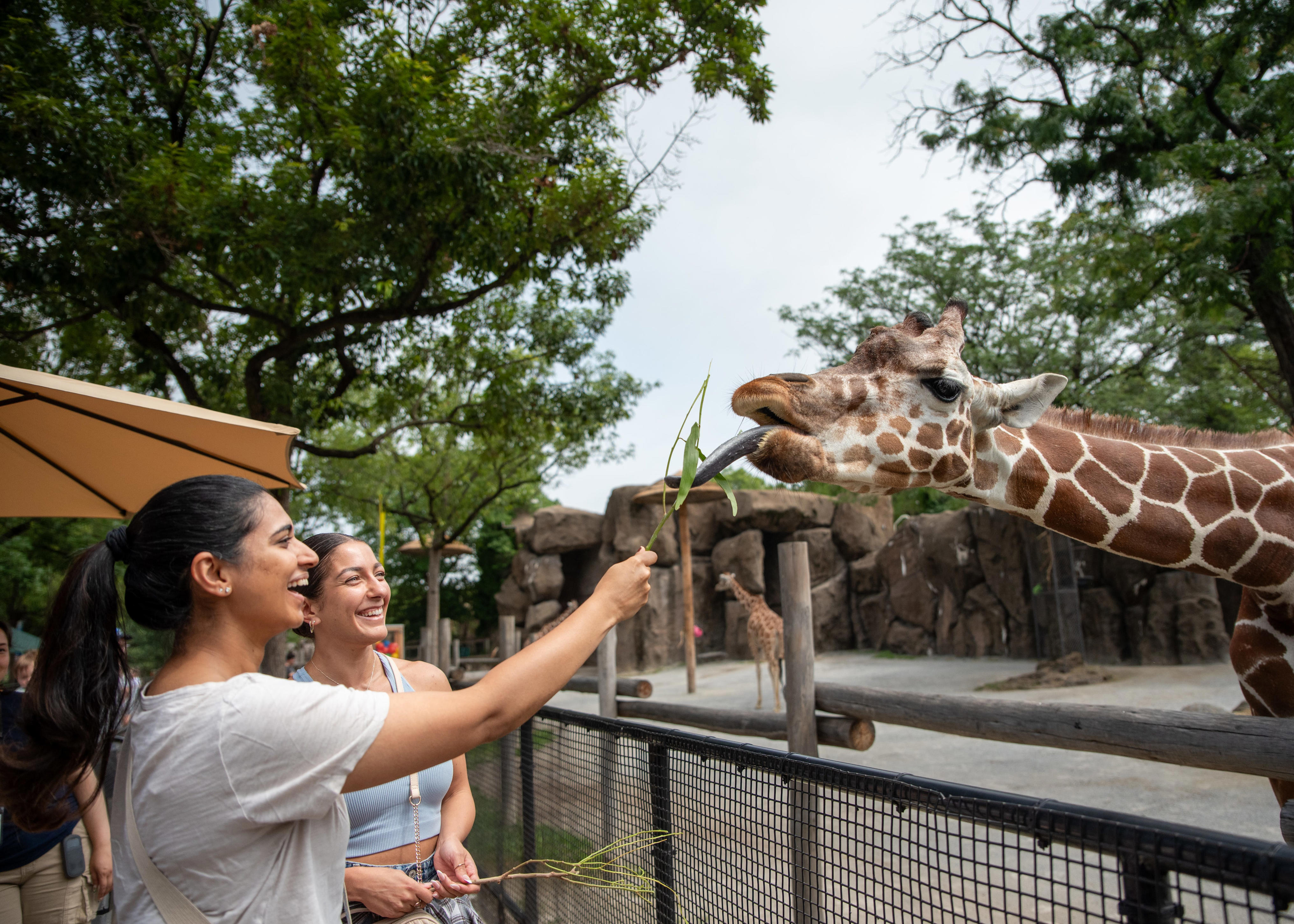 Combo ticket offers entry to both Philadelphia Zoo, Camden Aquarium