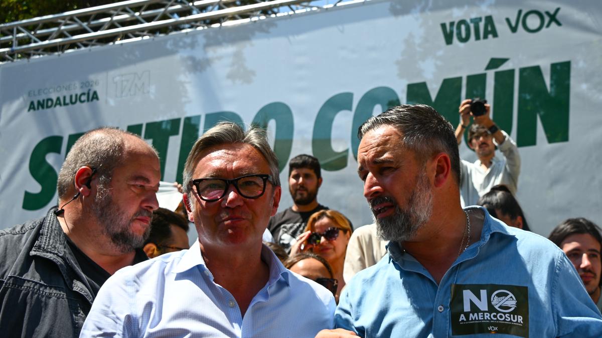 Este es el programa electoral de Vox en las elecciones autonómicas de ...