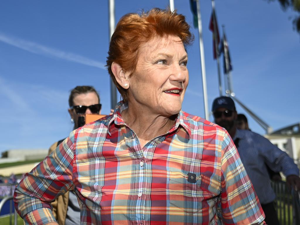 MP floats One Nation switch