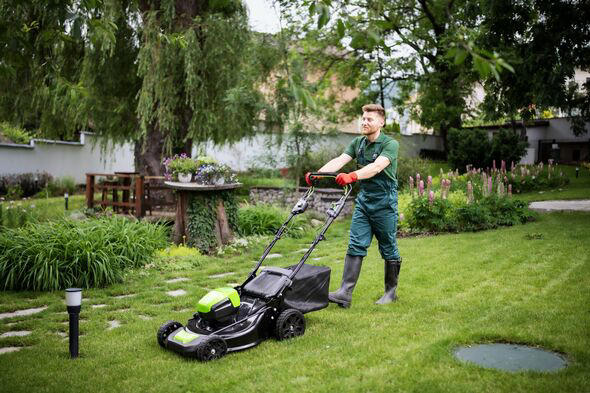 Gardener shares simple 3-step method to get perfect lawn ahead of summer