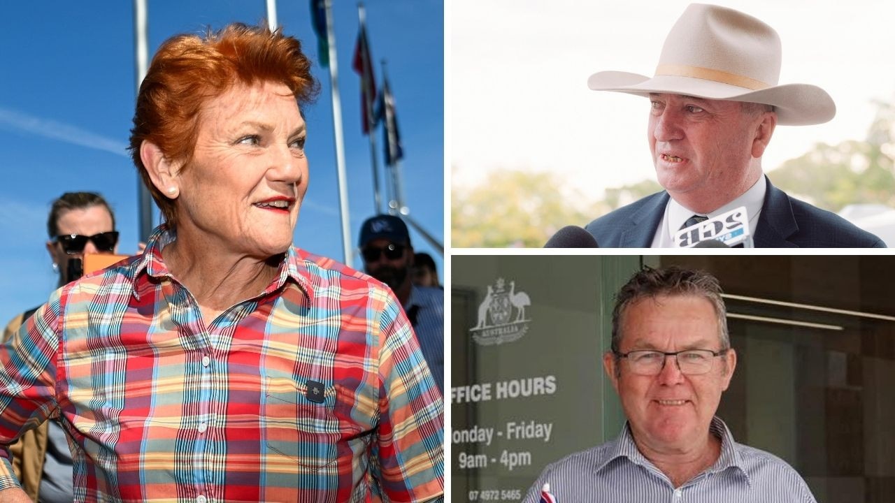 MP floats One Nation switch