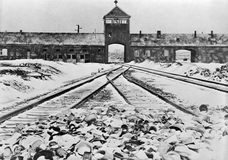 Group has twisted the meaning of 'genocide' — and hijacked a Zionist ...