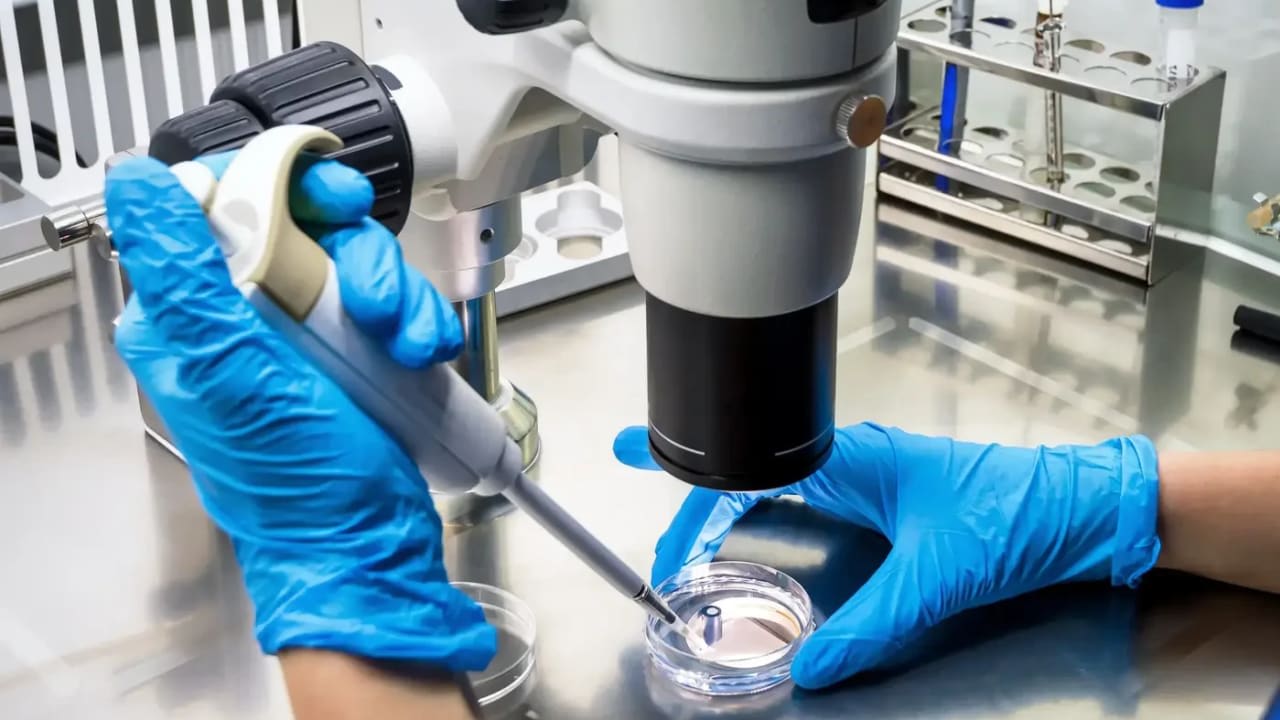 Primer caso de hantavirus diagnosticado en Israel
