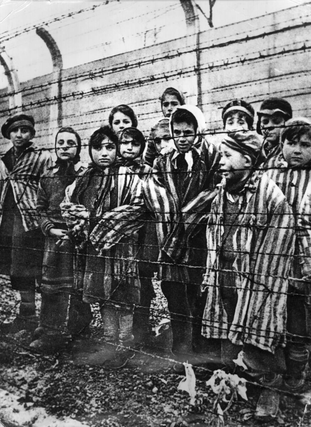 Group has twisted the meaning of 'genocide' — and hijacked a Zionist ...