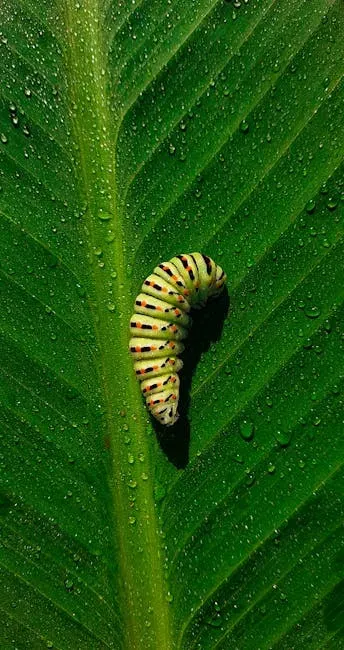 11 things scientists got wrong about nature for years