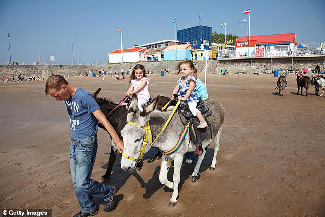 Donkeys banned from seaside resort's beach as council slams door on 100 ...
