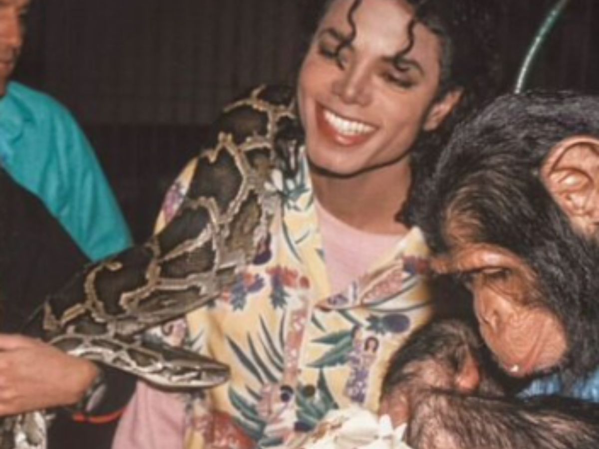 Is Michael Jackson's Bubbles the chimp still alive in 2026? Inside his ...