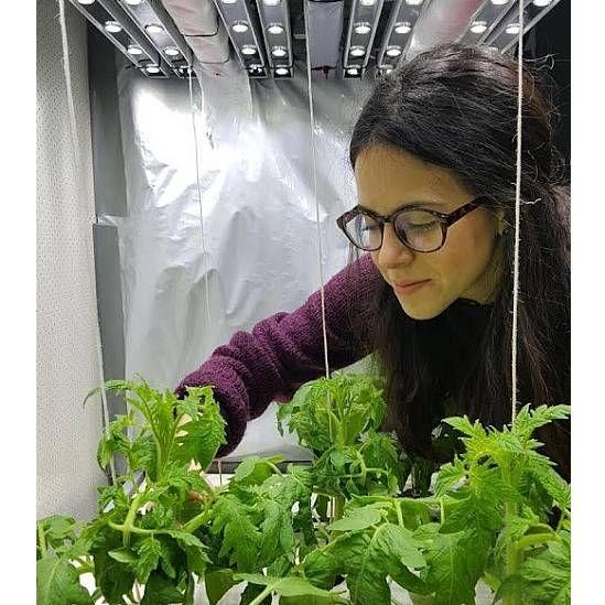 Cientista mexicana Cristina Zepeda é professora associada de ciências vegetais em Wageningen